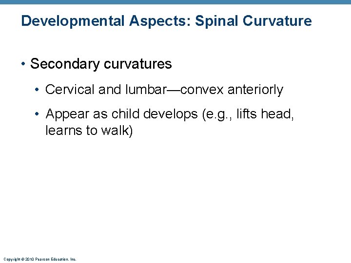 Developmental Aspects: Spinal Curvature • Secondary curvatures • Cervical and lumbar—convex anteriorly • Appear