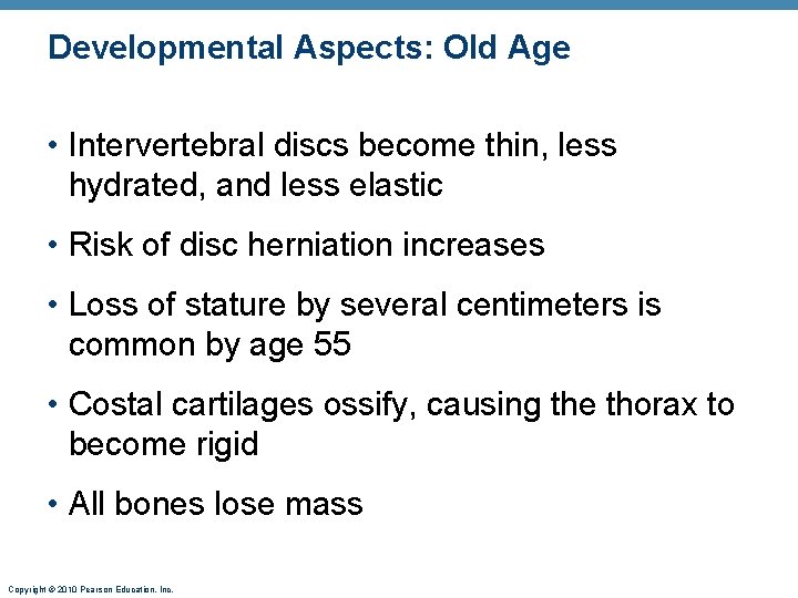 Developmental Aspects: Old Age • Intervertebral discs become thin, less hydrated, and less elastic