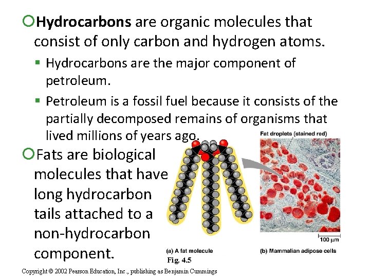  Hydrocarbons are organic molecules that consist of only carbon and hydrogen atoms. Hydrocarbons