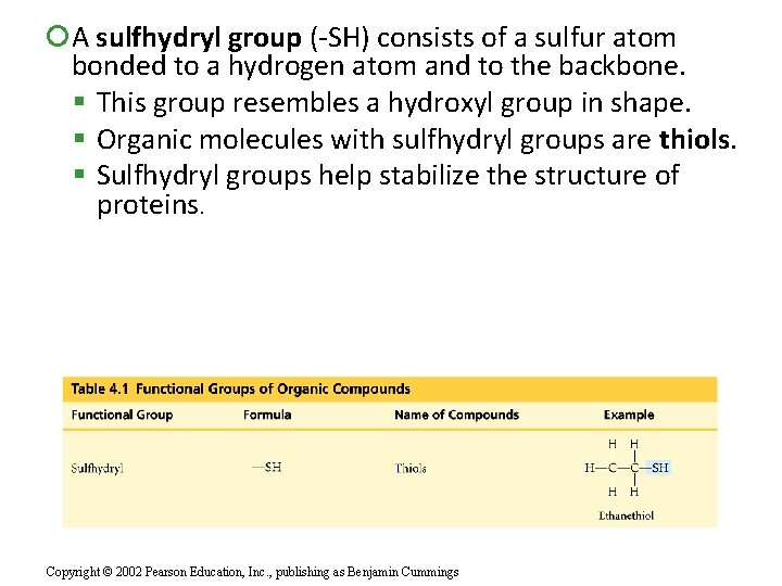  A sulfhydryl group (-SH) consists of a sulfur atom bonded to a hydrogen