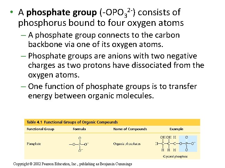  • A phosphate group (-OPO 32 -) consists of phosphorus bound to four