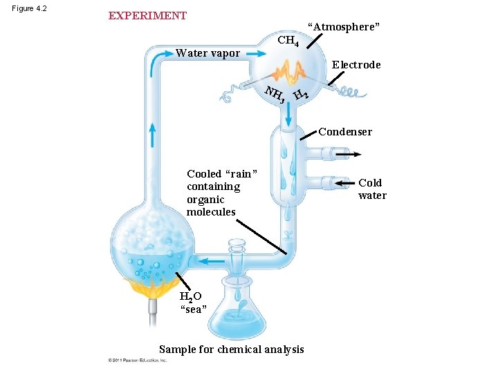 Figure 4. 2 EXPERIMENT Water vapor “Atmosphere” CH 4 Electrode NH 3 H 2