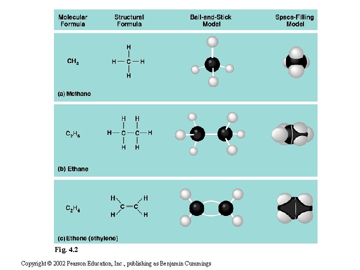 Fig. 4. 2 Copyright © 2002 Pearson Education, Inc. , publishing as Benjamin Cummings