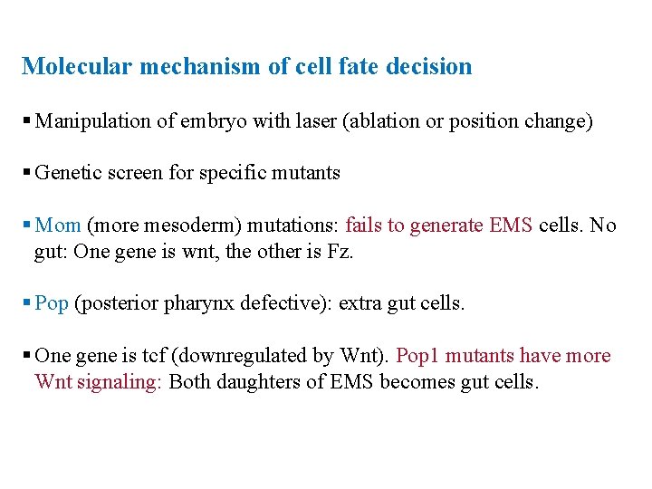 Molecular mechanism of cell fate decision § Manipulation of embryo with laser (ablation or