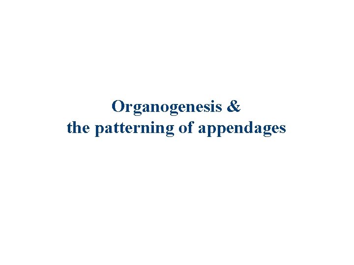 Organogenesis & the patterning of appendages 