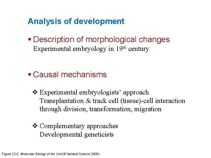 Analysis of development § Description of morphological changes Experimental embryology in 19 th century