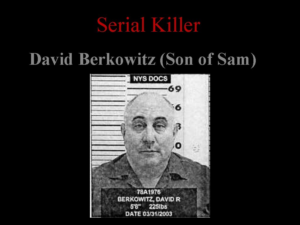 Serial Killer David Berkowitz (Son of Sam) 