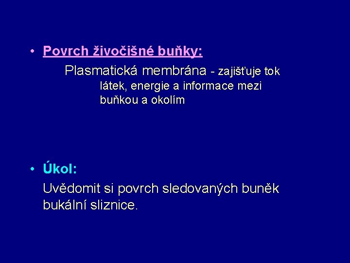  • Povrch živočišné buňky: Plasmatická membrána - zajišťuje tok látek, energie a informace