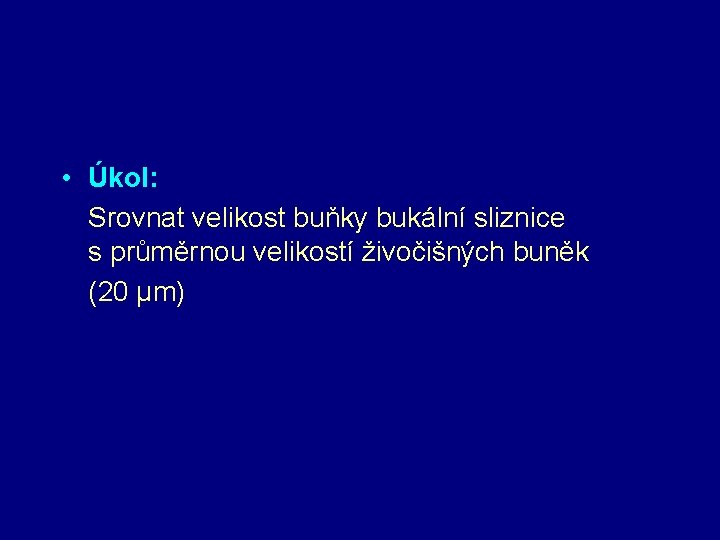  • Úkol: Srovnat velikost buňky bukální sliznice s průměrnou velikostí živočišných buněk (20