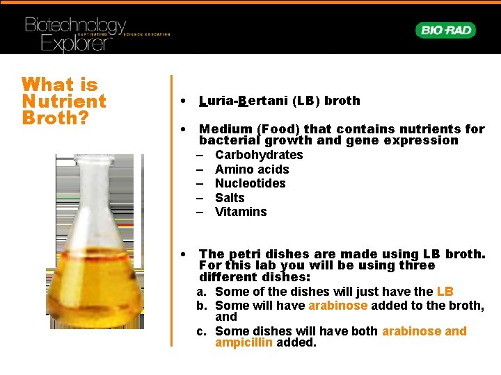 What is Nutrient Broth? • Luria-Bertani (LB) broth • Medium (Food) that contains nutrients