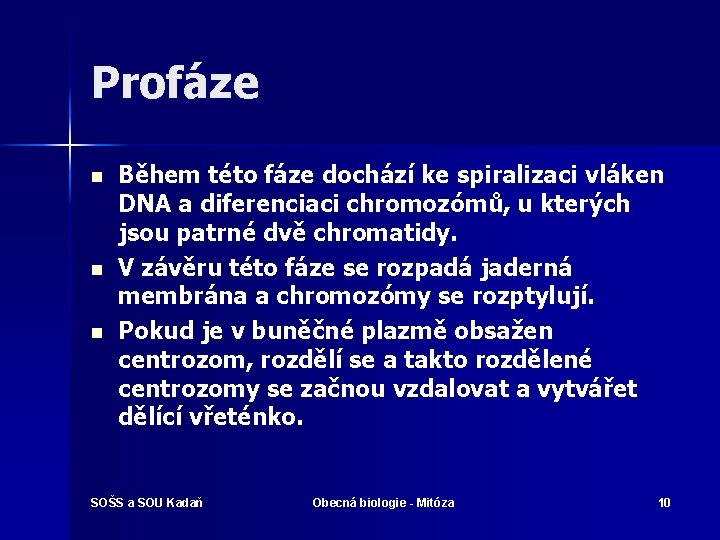 Profáze n n n Během této fáze dochází ke spiralizaci vláken DNA a diferenciaci