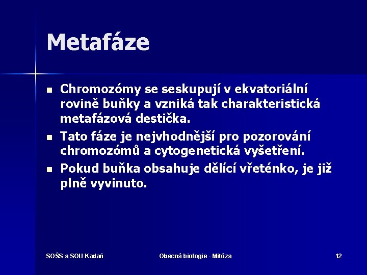 Metafáze n n n Chromozómy se seskupují v ekvatoriální rovině buňky a vzniká tak