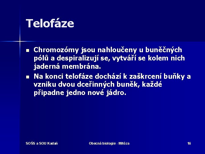 Telofáze n n Chromozómy jsou nahloučeny u buněčných pólů a despiralizují se, vytváří se