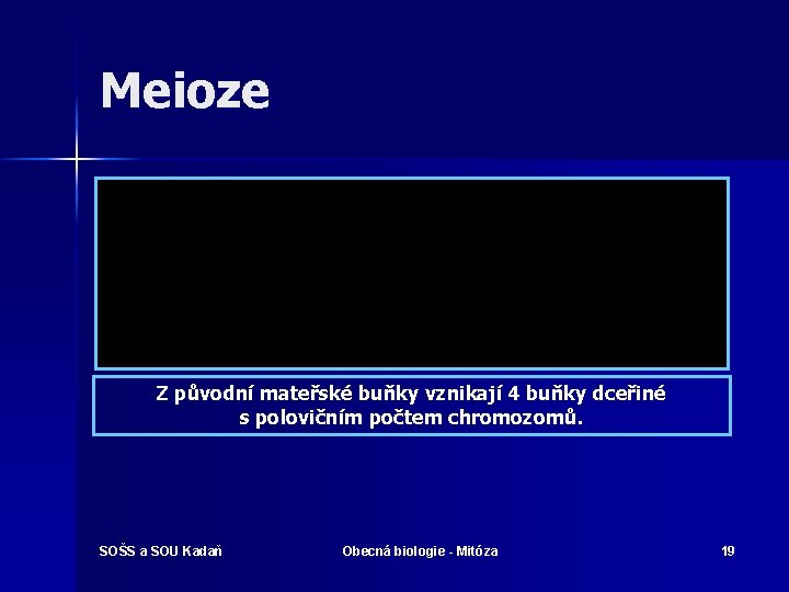 Meioze Z původní mateřské buňky vznikají 4 buňky dceřiné s polovičním počtem chromozomů. SOŠS