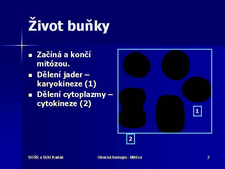 Život buňky n n n Začíná a končí mitózou. Dělení jader – karyokineze (1)