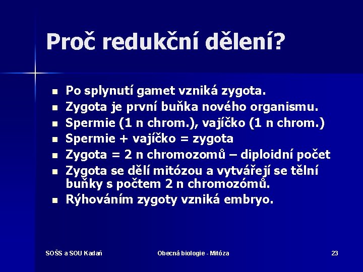 Proč redukční dělení? n n n n Po splynutí gamet vzniká zygota. Zygota je