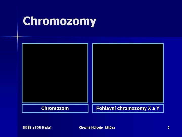 Chromozomy Chromozom SOŠS a SOU Kadaň Pohlavní chromozomy X a Y Obecná biologie -