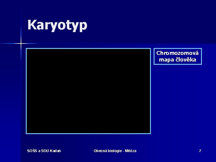 Karyotyp Chromozomová mapa člověka SOŠS a SOU Kadaň Obecná biologie - Mitóza 7 