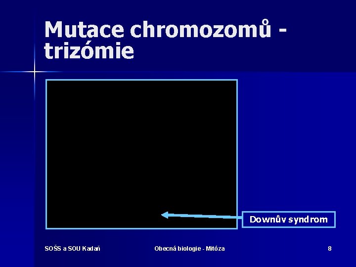 Mutace chromozomů - trizómie Downův syndrom SOŠS a SOU Kadaň Obecná biologie - Mitóza
