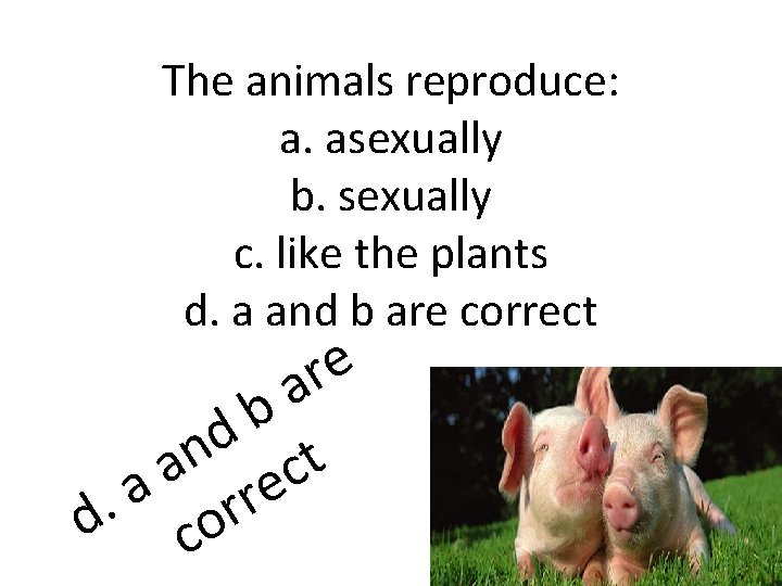 The animals reproduce: a. asexually b. sexually c. like the plants d. a and