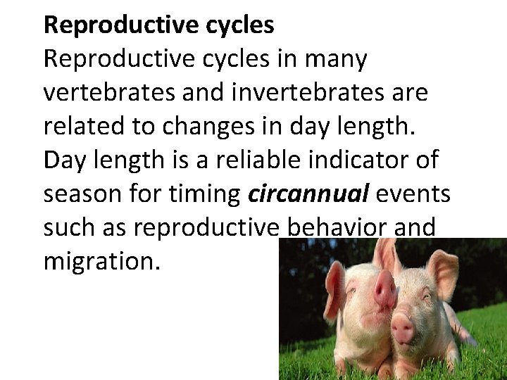 Reproductive cycles in many vertebrates and invertebrates are related to changes in day length.