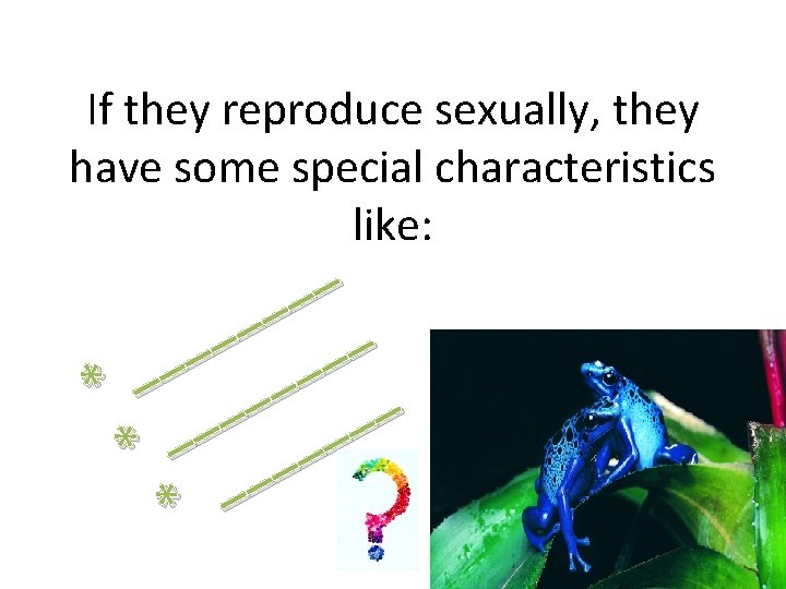 If they reproduce sexually, they have some special characteristics like: _ _ _ *