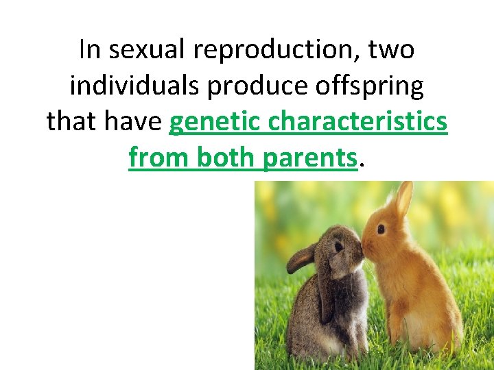 In sexual reproduction, two individuals produce offspring that have genetic characteristics from both parents.