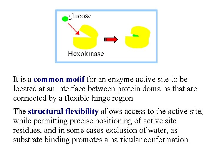 It is a common motif for an enzyme active site to be located at