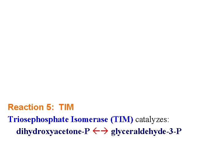 Reaction 5: TIM Triosephosphate Isomerase (TIM) catalyzes: dihydroxyacetone-P glyceraldehyde-3 -P 