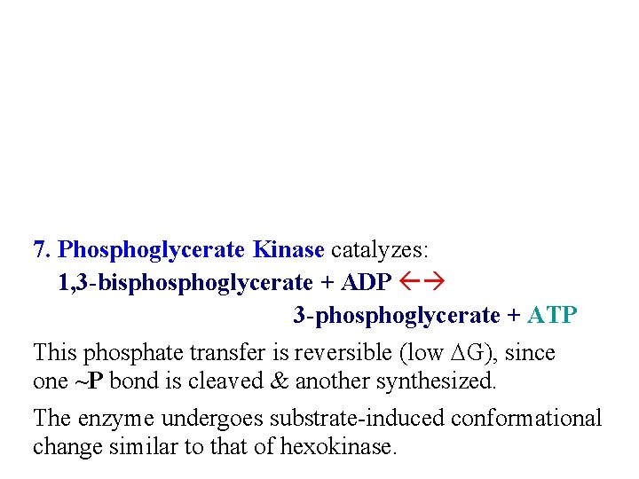 7. Phosphoglycerate Kinase catalyzes: 1, 3 -bisphoglycerate + ADP 3 -phosphoglycerate + ATP This