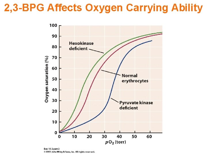 2, 3 -BPG Affects Oxygen Carrying Ability 