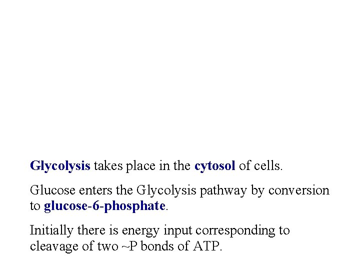 Glycolysis takes place in the cytosol of cells. Glucose enters the Glycolysis pathway by