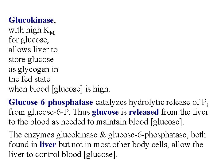 Glucokinase, with high KM for glucose, allows liver to store glucose as glycogen in