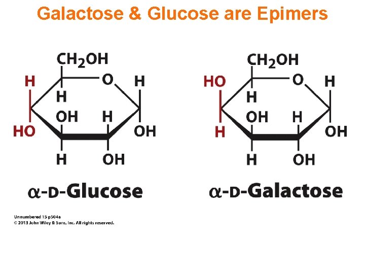 Galactose & Glucose are Epimers 