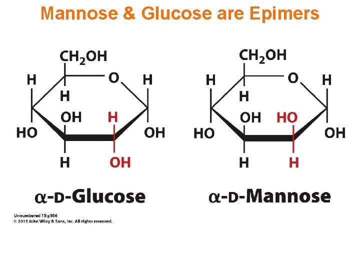 Mannose & Glucose are Epimers 