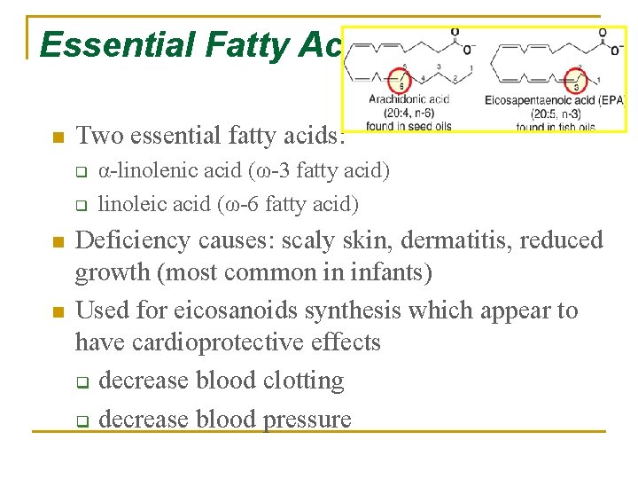 Essential Fatty Acids n Two essential fatty acids: q q n n α-linolenic acid