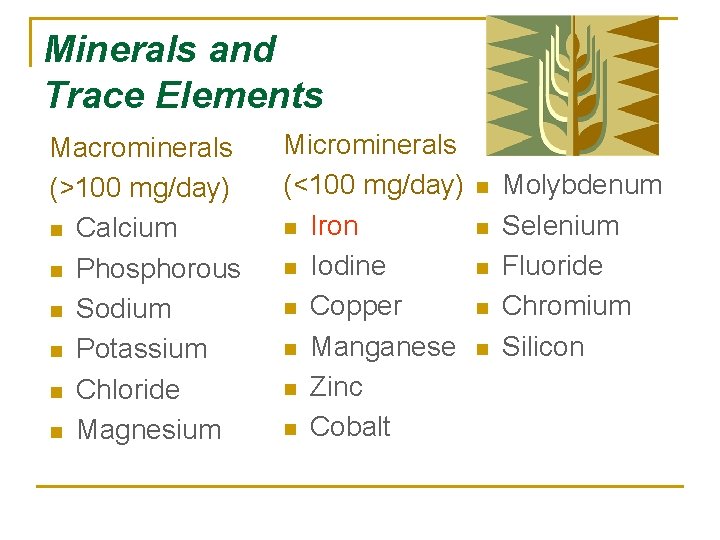 Minerals and Trace Elements Macrominerals (>100 mg/day) n Calcium n Phosphorous n Sodium n