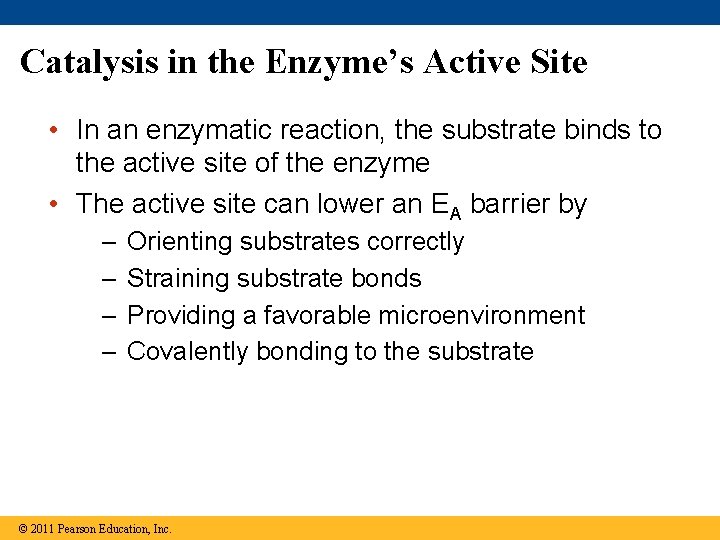 Catalysis in the Enzyme’s Active Site • In an enzymatic reaction, the substrate binds