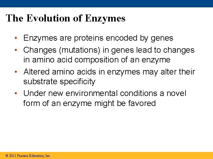 The Evolution of Enzymes • Enzymes are proteins encoded by genes • Changes (mutations)