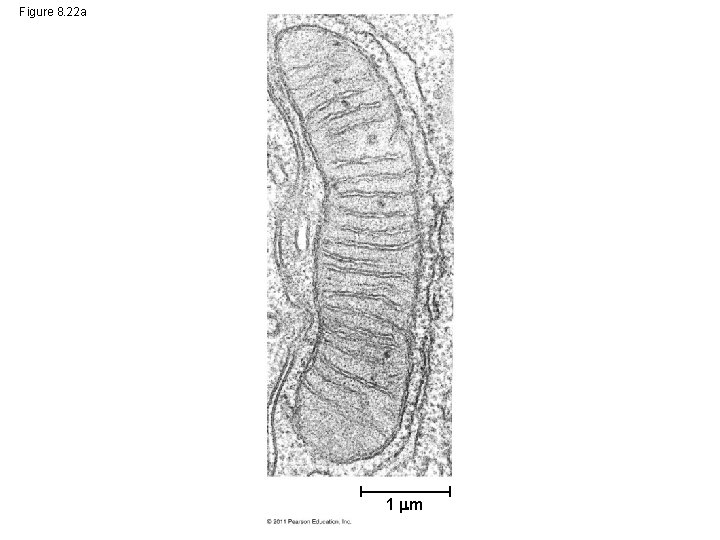Figure 8. 22 a 1 m 