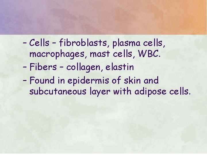 – Cells – fibroblasts, plasma cells, macrophages, mast cells, WBC. – Fibers – collagen, – Cells – fibroblasts, plasma cells, macrophages, mast cells, WBC. – Fibers – collagen,