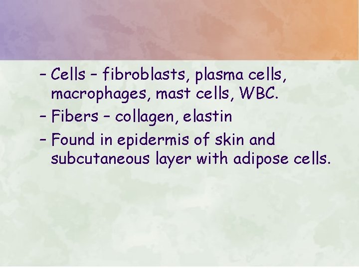 – Cells – fibroblasts, plasma cells, macrophages, mast cells, WBC. – Fibers – collagen,