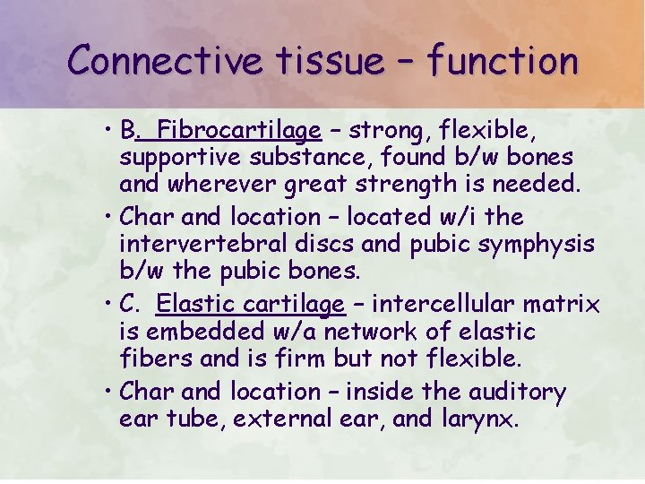 Connective tissue – function • B. Fibrocartilage – strong, flexible, supportive substance, found b/w