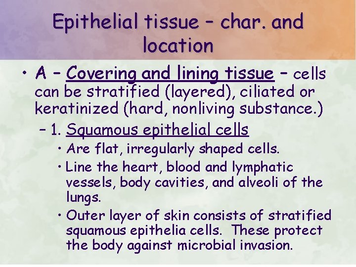 Epithelial tissue – char. and location • A – Covering and lining tissue –