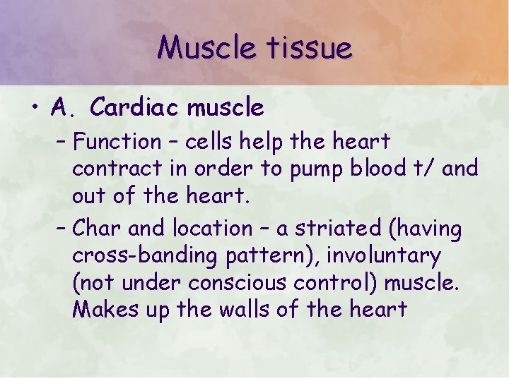 Muscle tissue • A. Cardiac muscle – Function – cells help the heart contract