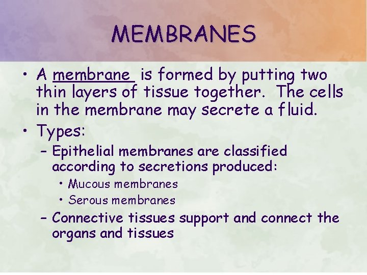 MEMBRANES • A membrane is formed by putting two thin layers of tissue together.