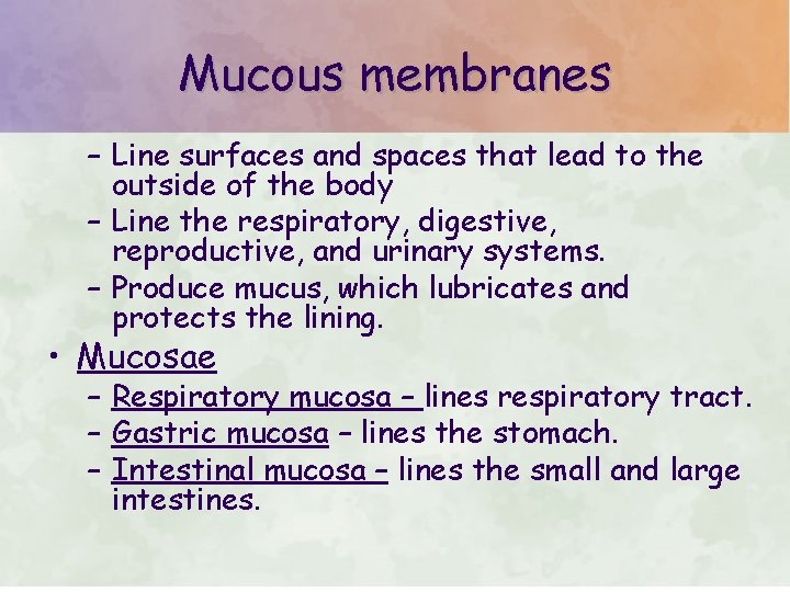 Mucous membranes – Line surfaces and spaces that lead to the outside of the