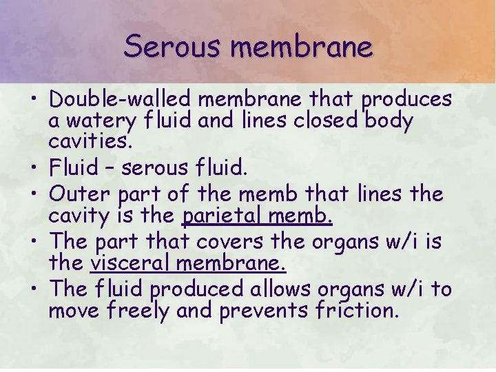 Serous membrane • Double-walled membrane that produces a watery fluid and lines closed body