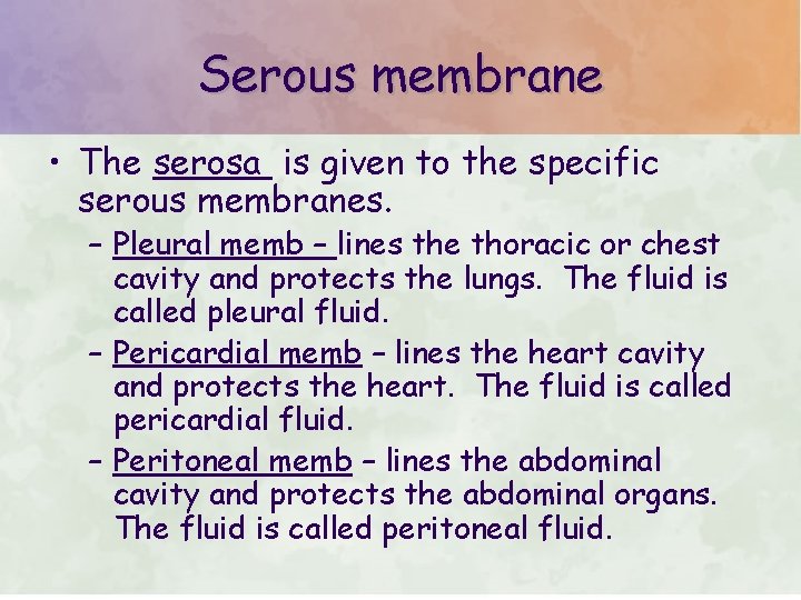 Serous membrane • The serosa is given to the specific serous membranes. – Pleural