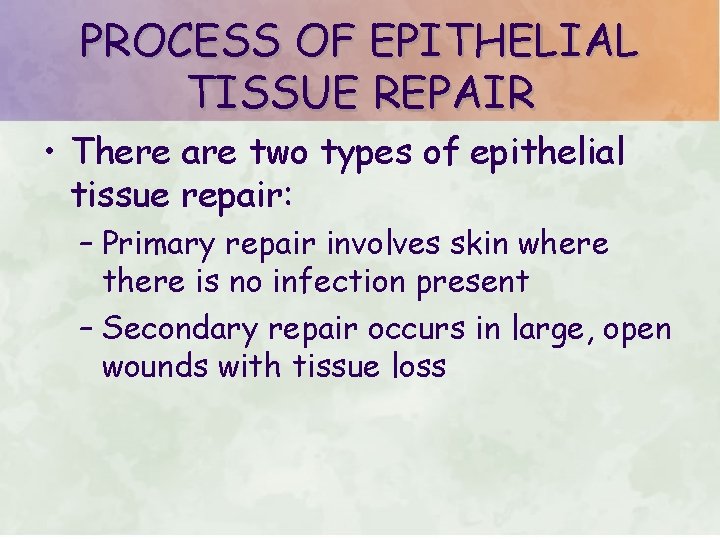 PROCESS OF EPITHELIAL TISSUE REPAIR • There are two types of epithelial tissue repair: PROCESS OF EPITHELIAL TISSUE REPAIR • There are two types of epithelial tissue repair: